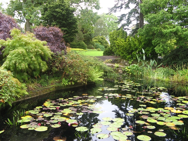 RHS Harlow Carr Garden